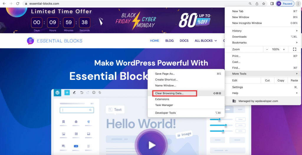 'WordPress Block Editor Not Working'