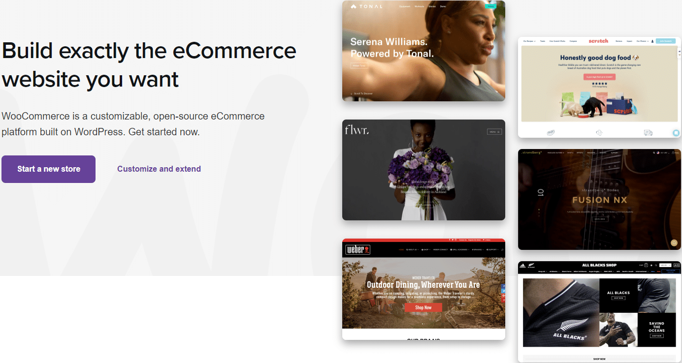 eCommerce Website Templates