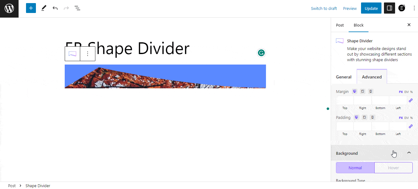 EB Shape Divider