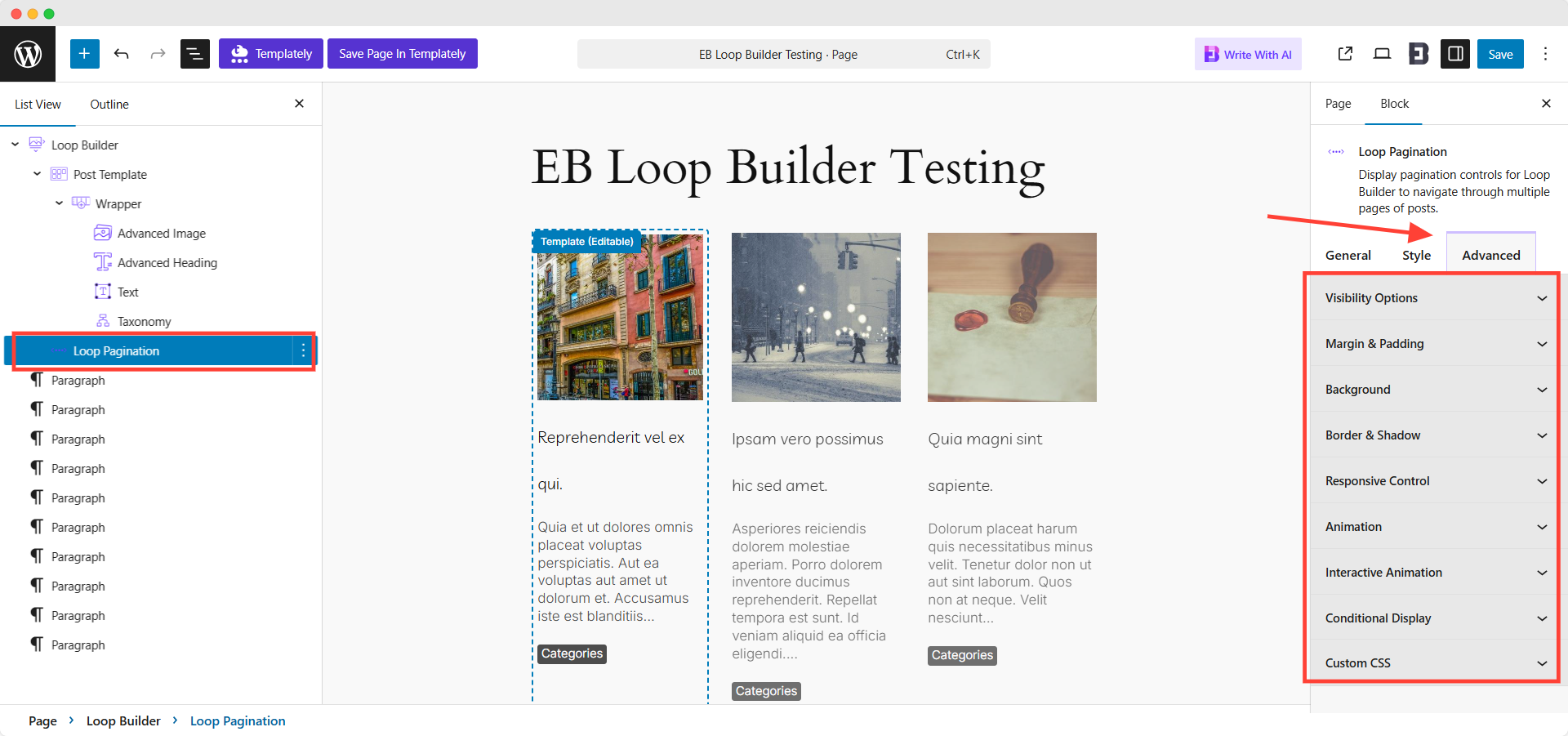 Loop Pagination Advance Customization