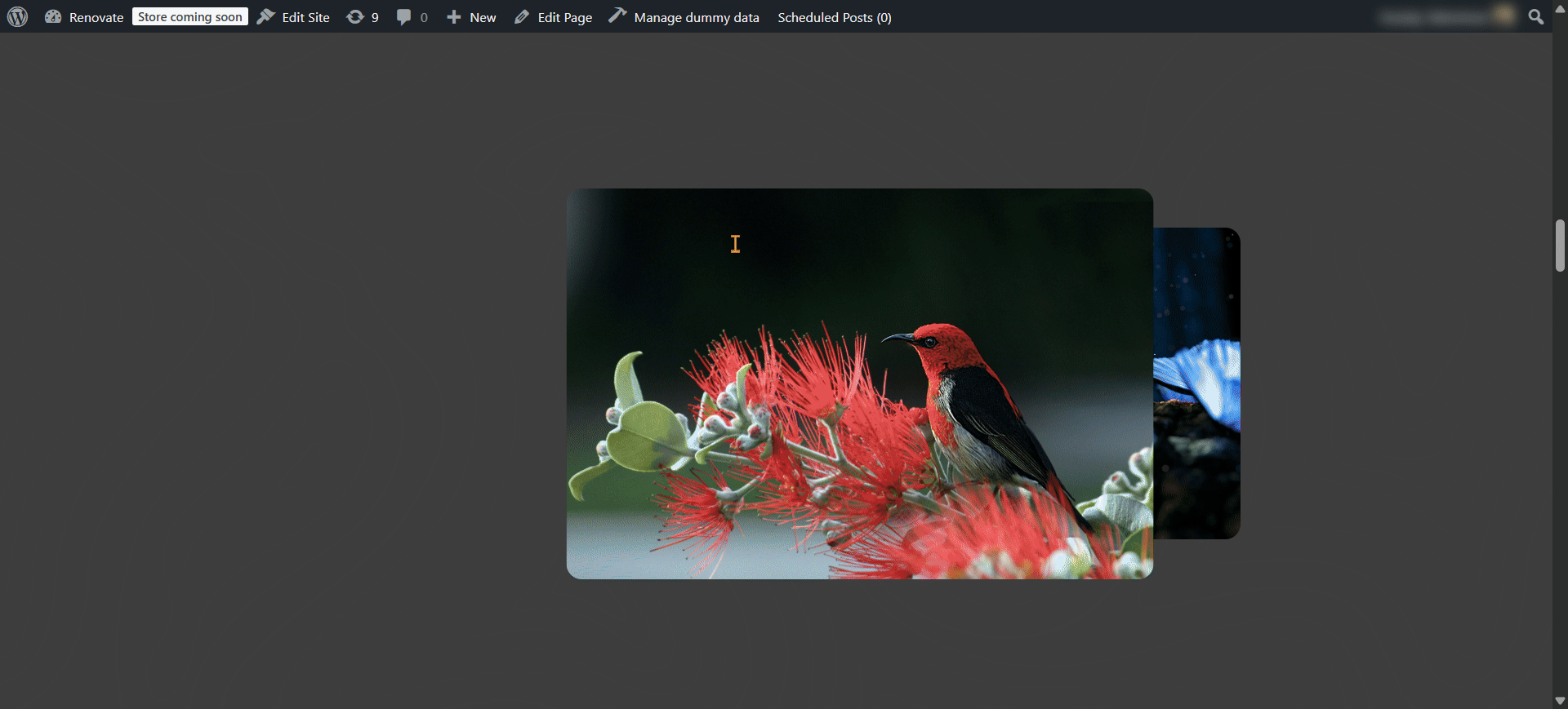 EB Animated Wrapper 8 EB Animated Wrapper