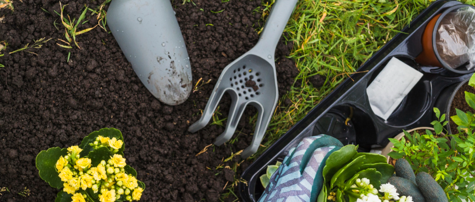 Timeline 10 interesting-timeline